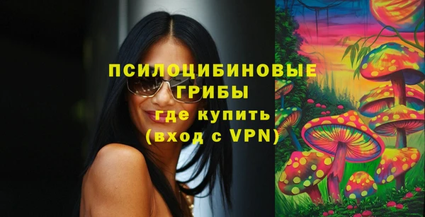 дживик Волоколамск
