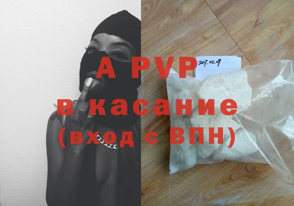 стаф Тобольск